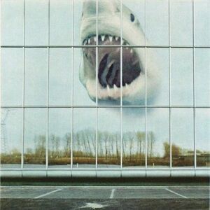 Black Mountain - Wilderness Heart  CD